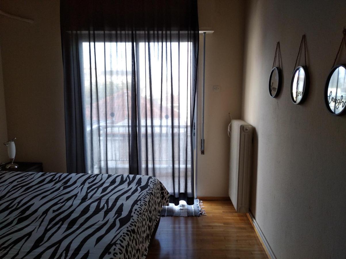 Niki'S House Άνετο Διαμ/Σμα 106Τμ 2 Υπνοδωματίων Appartement Volos Buitenkant foto